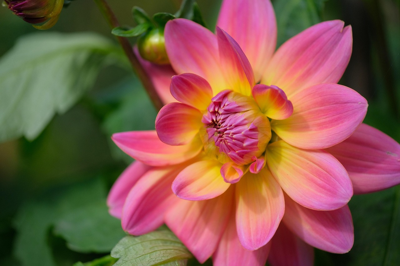 3. Consider Battery Replacement Options