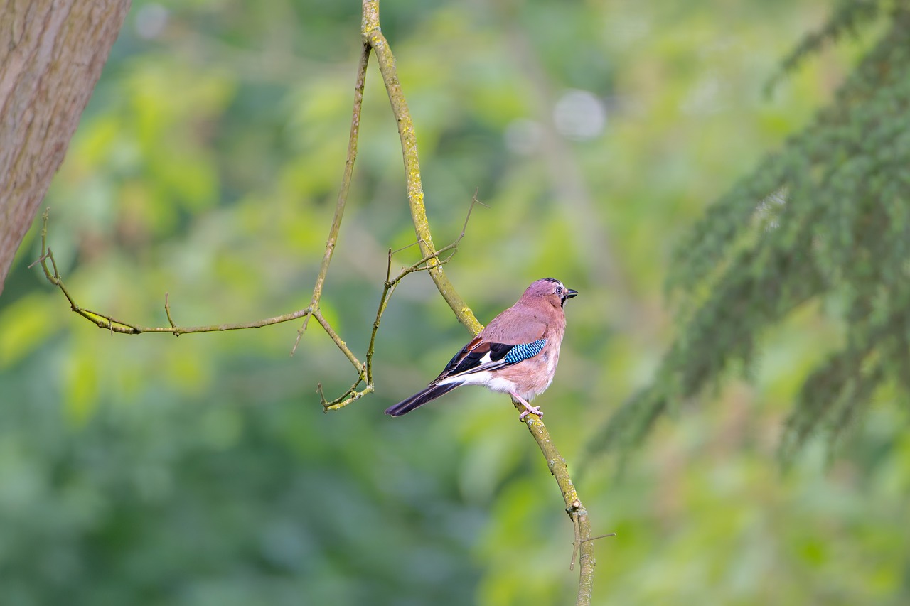 AI and Machine Learning