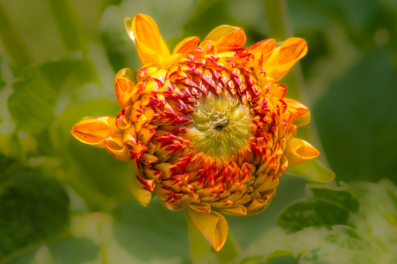 Regularly back up your data to an external hard drive