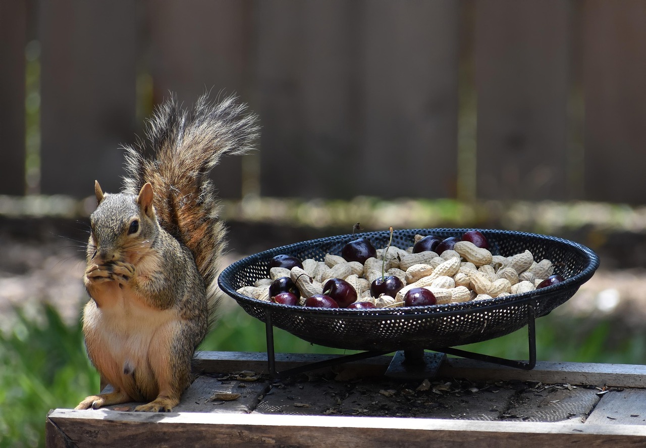 Future Trends in Laptop Pricing in Kenya