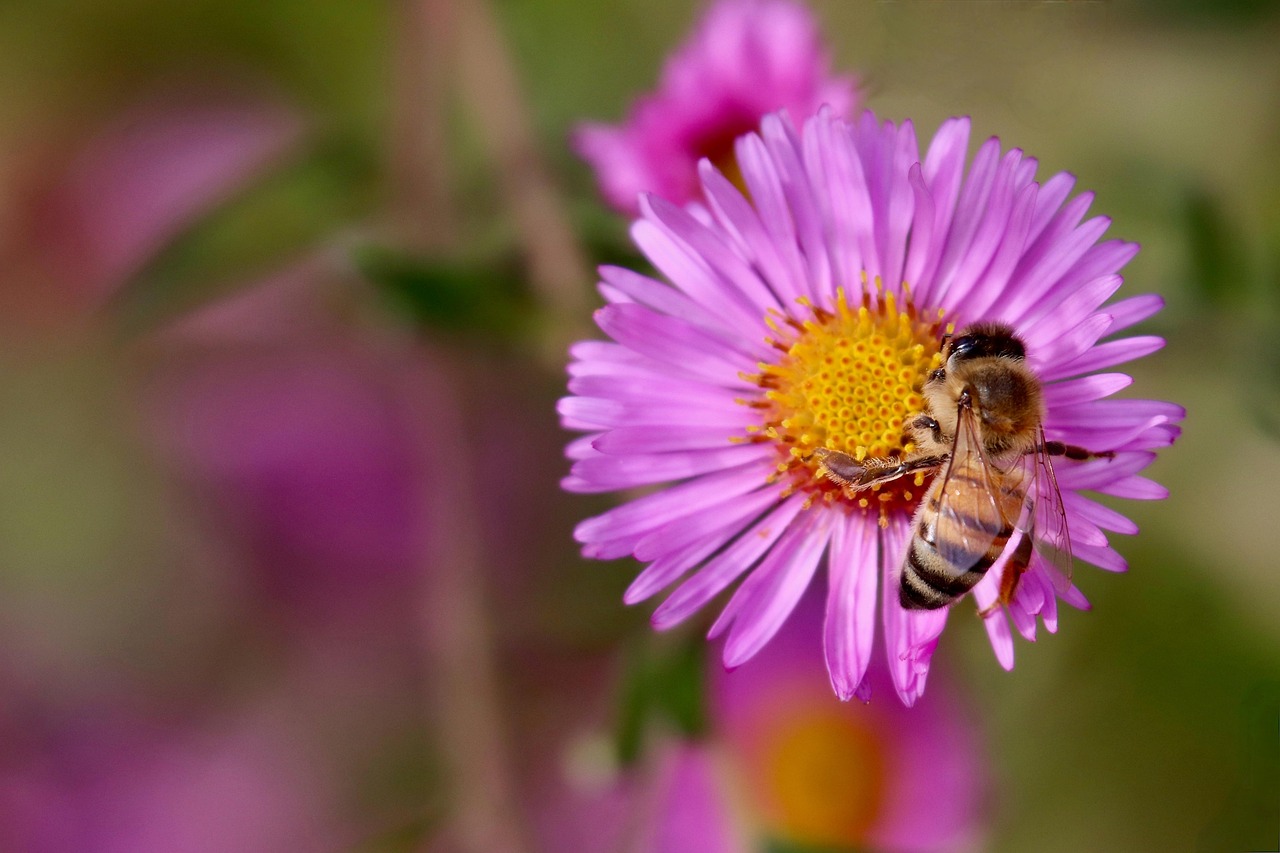 While maintenance is crucial for extending the lifespan of your