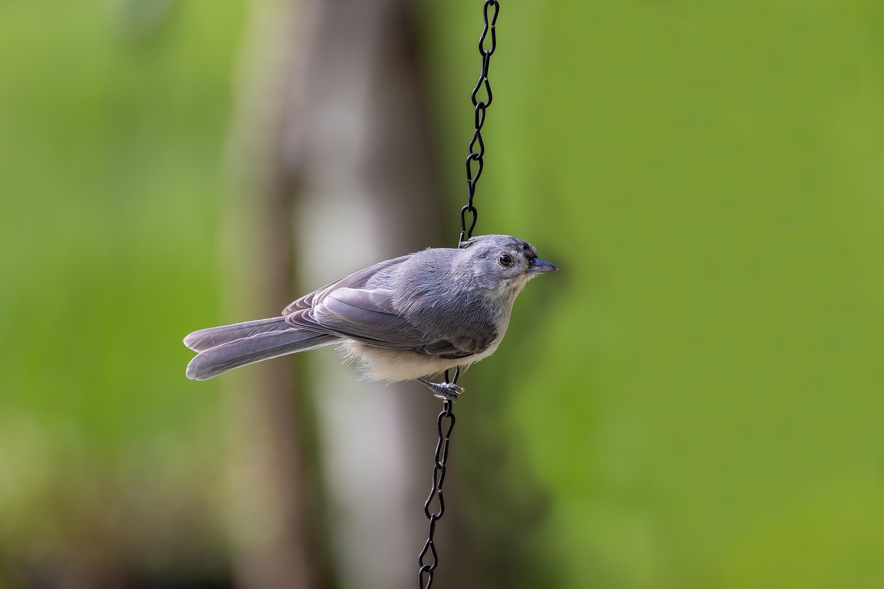 Whether you're a student in need of a budget-friendly laptop,