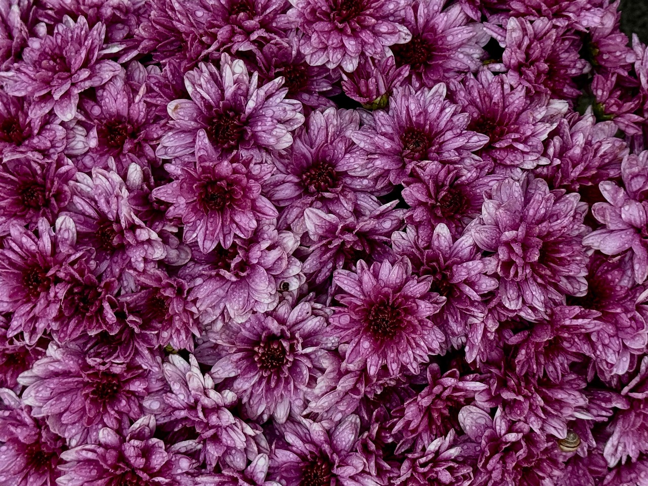 Boost Your Home Office Productivity A Review Of The Best Performing Laptops At Joo Computers Ltd