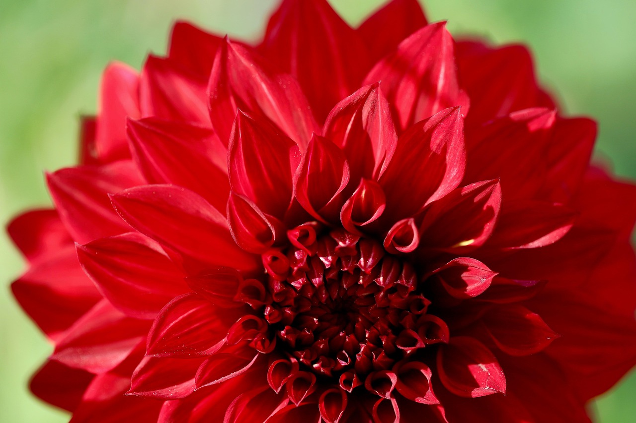 Conclusion: Making an Informed Decision