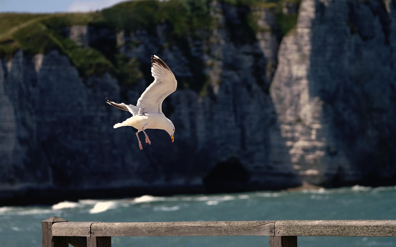 In Depth Look At Gaming Laptops What Every Gamer Should Know