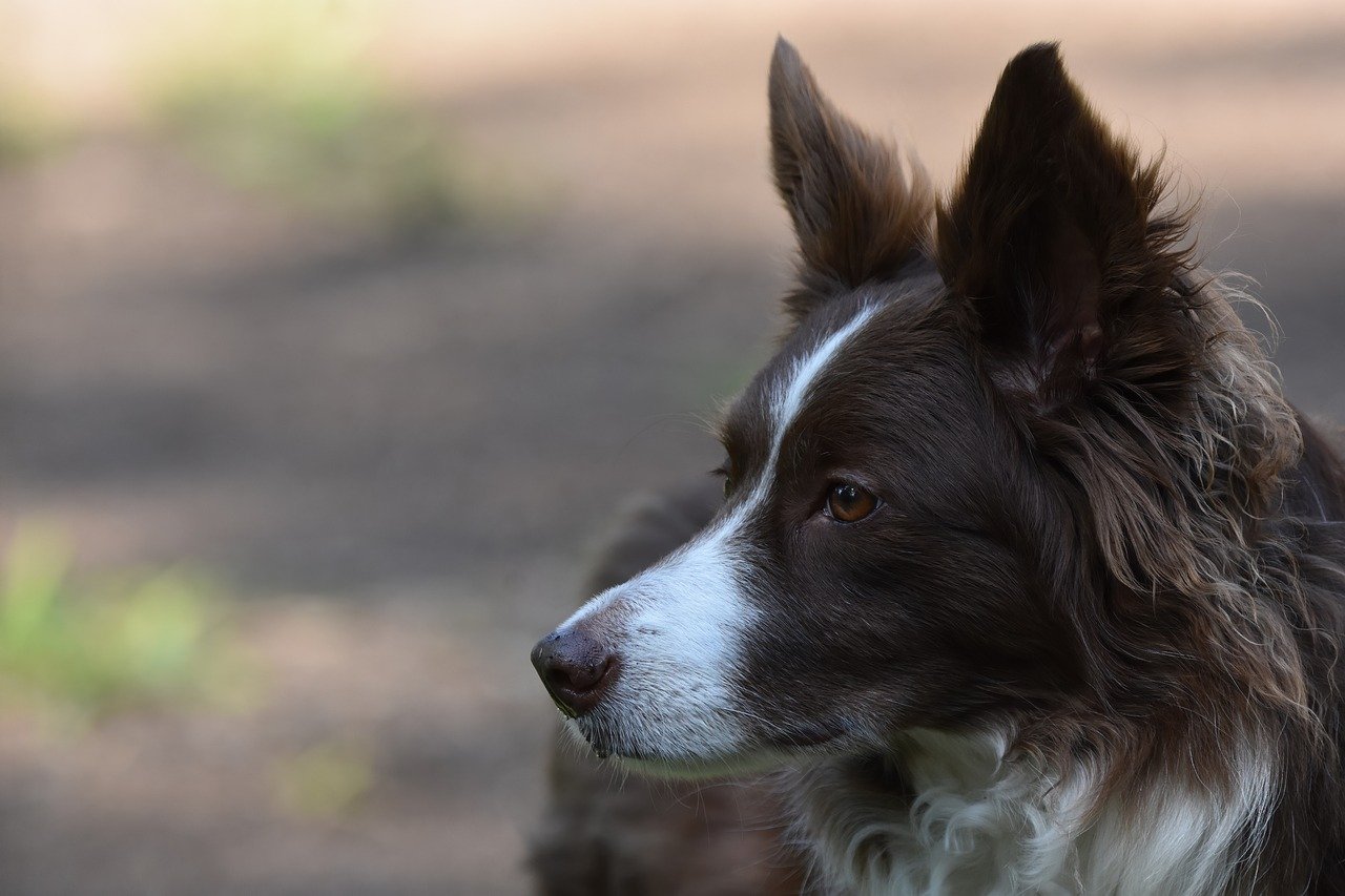 Read Reviews and Benchmarks