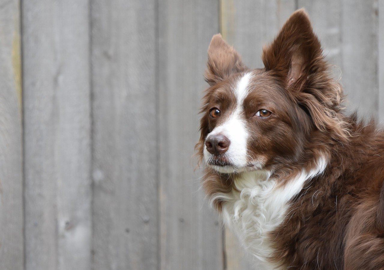 Gaming laptops have come a long way, providing gamers with