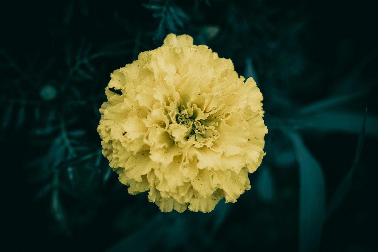 RAM, or random access memory, is critical for the smooth