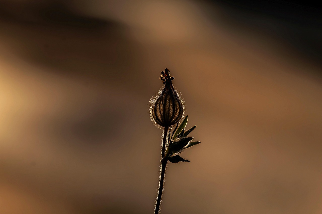 Maximize Your Productivity The Top Laptops For Professionals In 2027