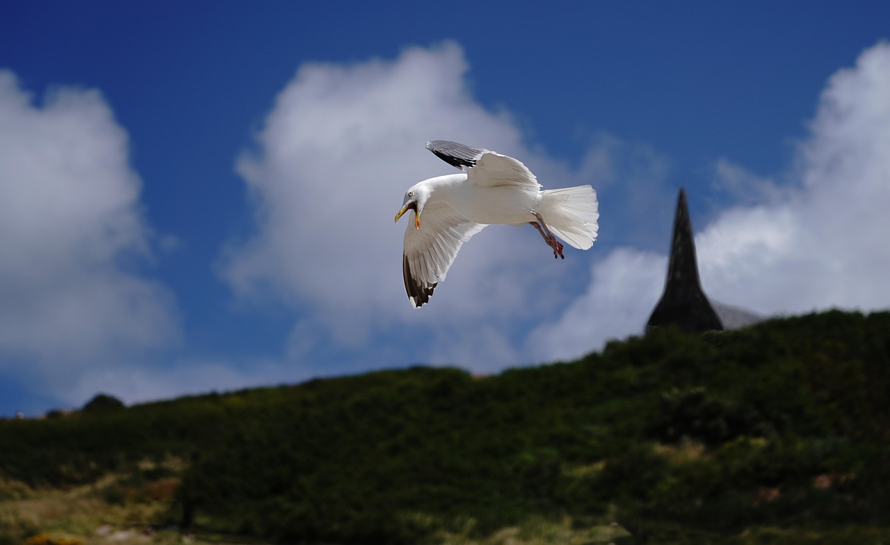 4. Consider Ecosystem Compatibility