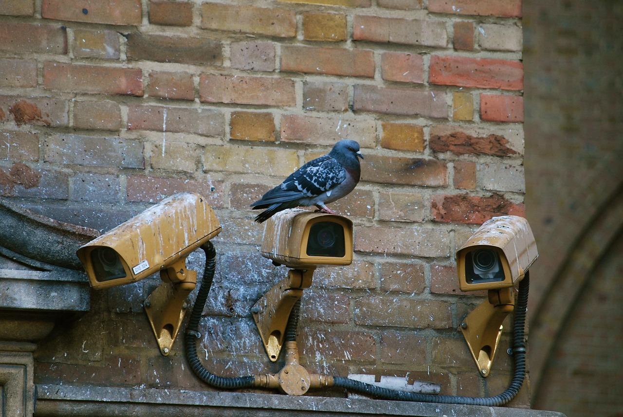 Investing in a CCTV system is a cost-effective way to