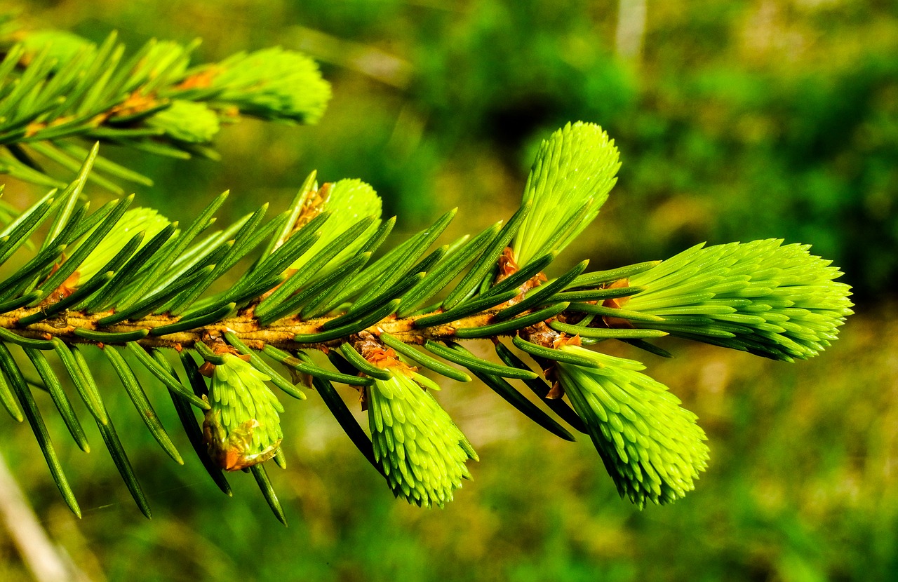 Through continuous innovation, the company is also exploring the potential