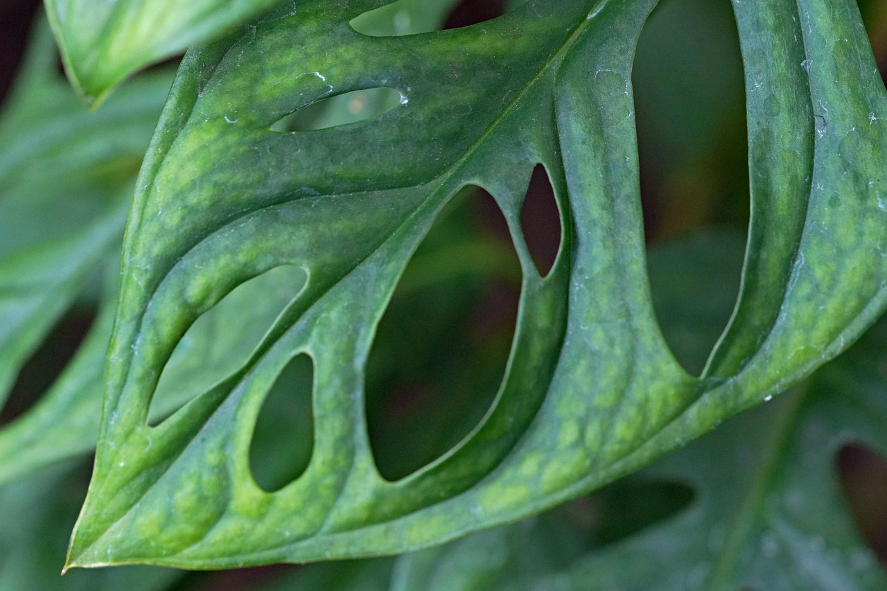 To fully understand the role of laptops in modern education,