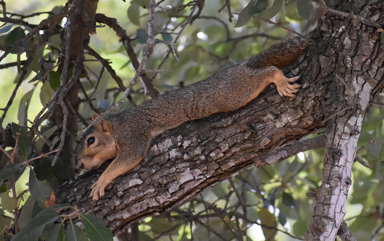 To address these concerns, schools can prioritize comprehensive training and