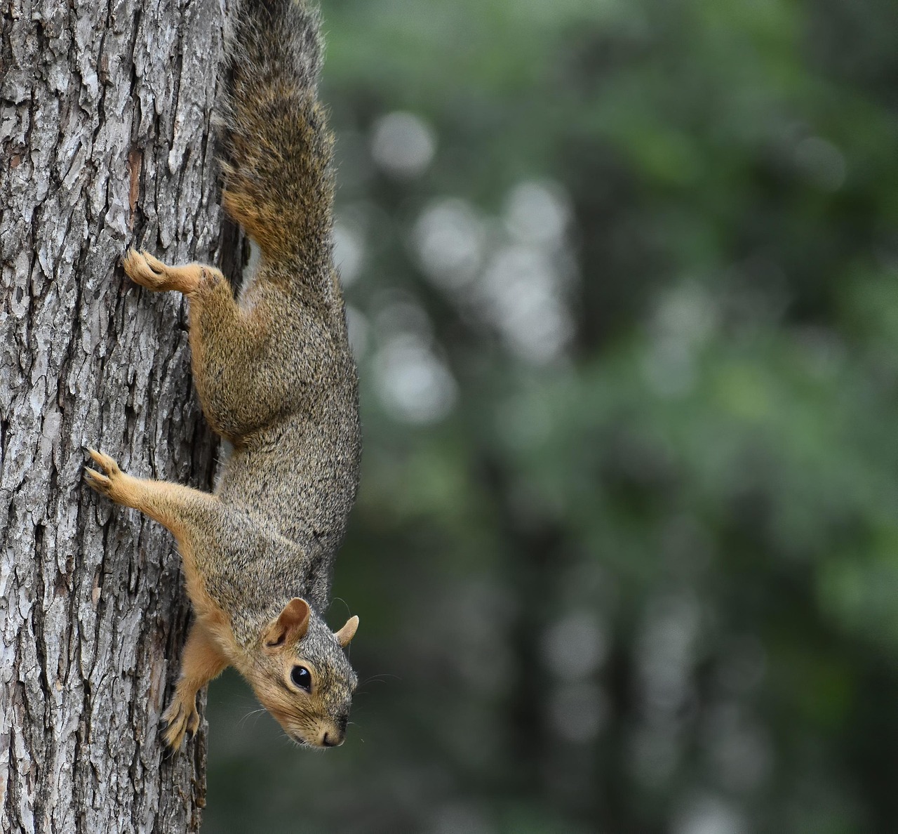 As technology continues to evolve, the role of laptops in