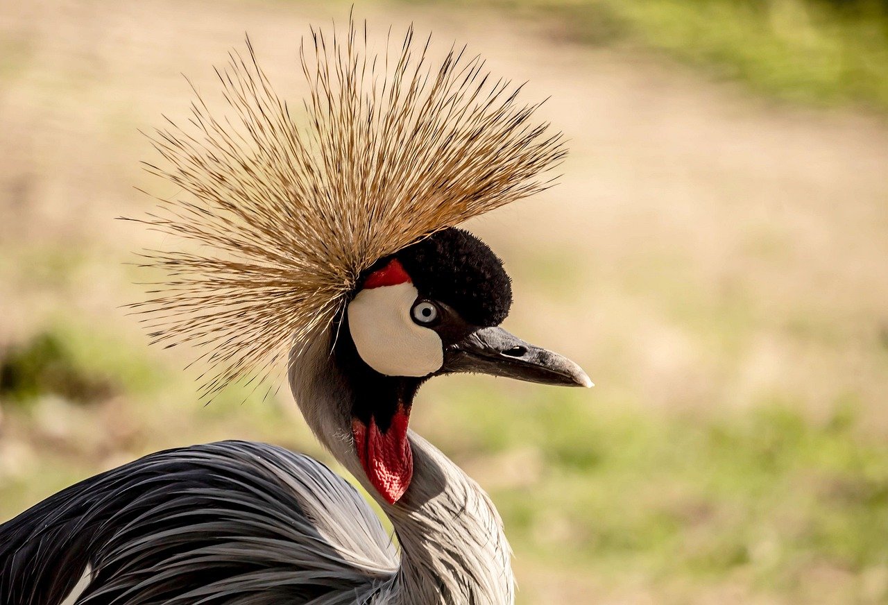 To mitigate this issue, some schools have adopted 1:1 laptop