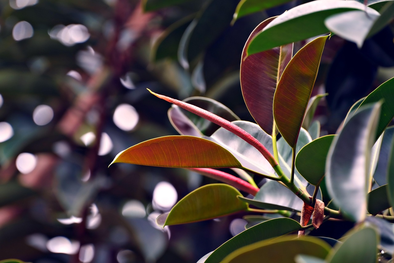 Enhancing Collaborative Learning