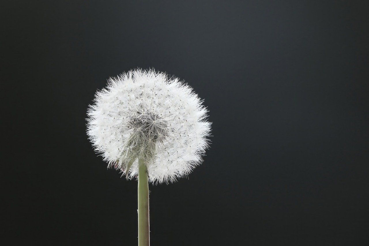 Considerations for Remote Work