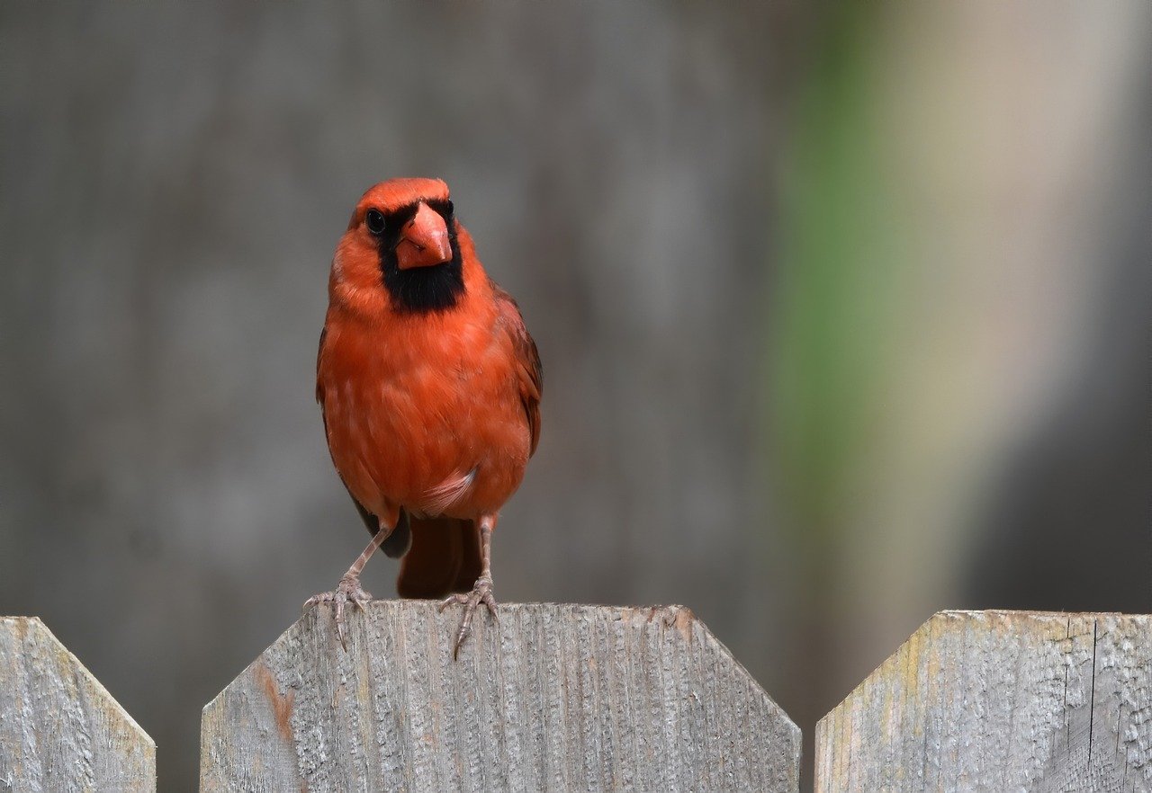 As environmental awareness increases, businesses are becoming more conscious of