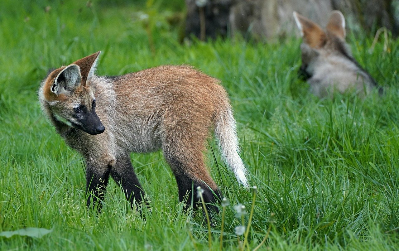 Business Laptops In Kenya