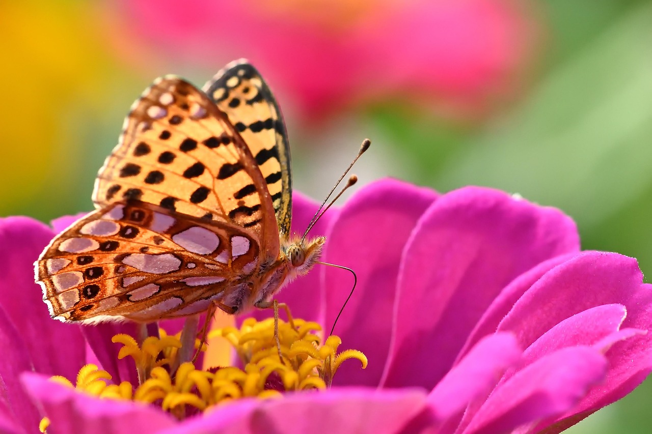 Creating A Tech Savvy Classroom How Laptops Are Transforming Kenyan Education