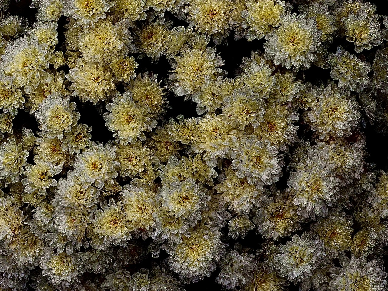 As technology continues to advance, its role in education will