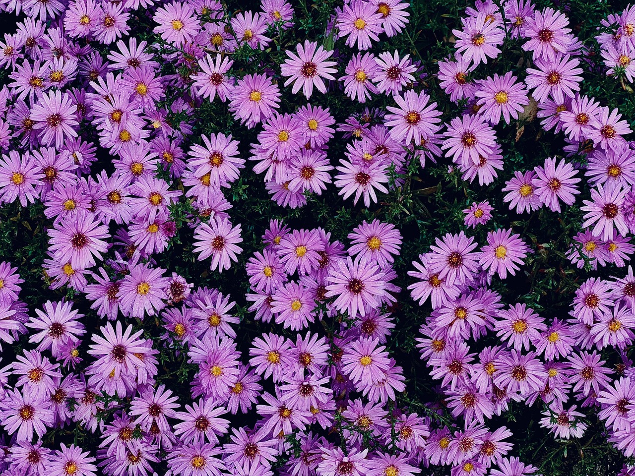 For more insights on how technology is reshaping education worldwide,