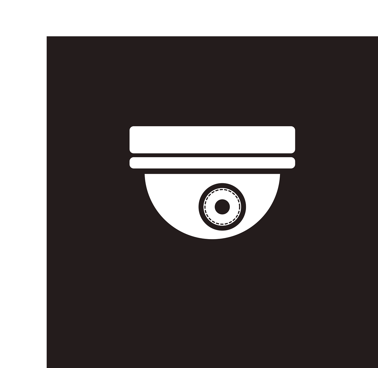 These cameras are designed to operate efficiently, consuming minimal power