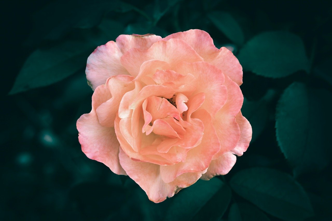 The environmental benefits of choosing refurbished laptops cannot be overstated.