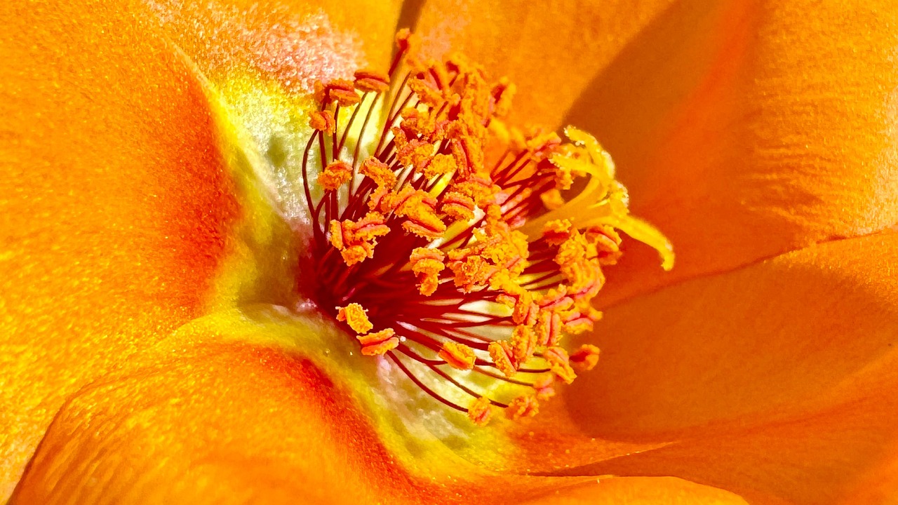 Explore The World Of High End Laptops An Insiders Review Of The Best Models From Joo Computers Ltd