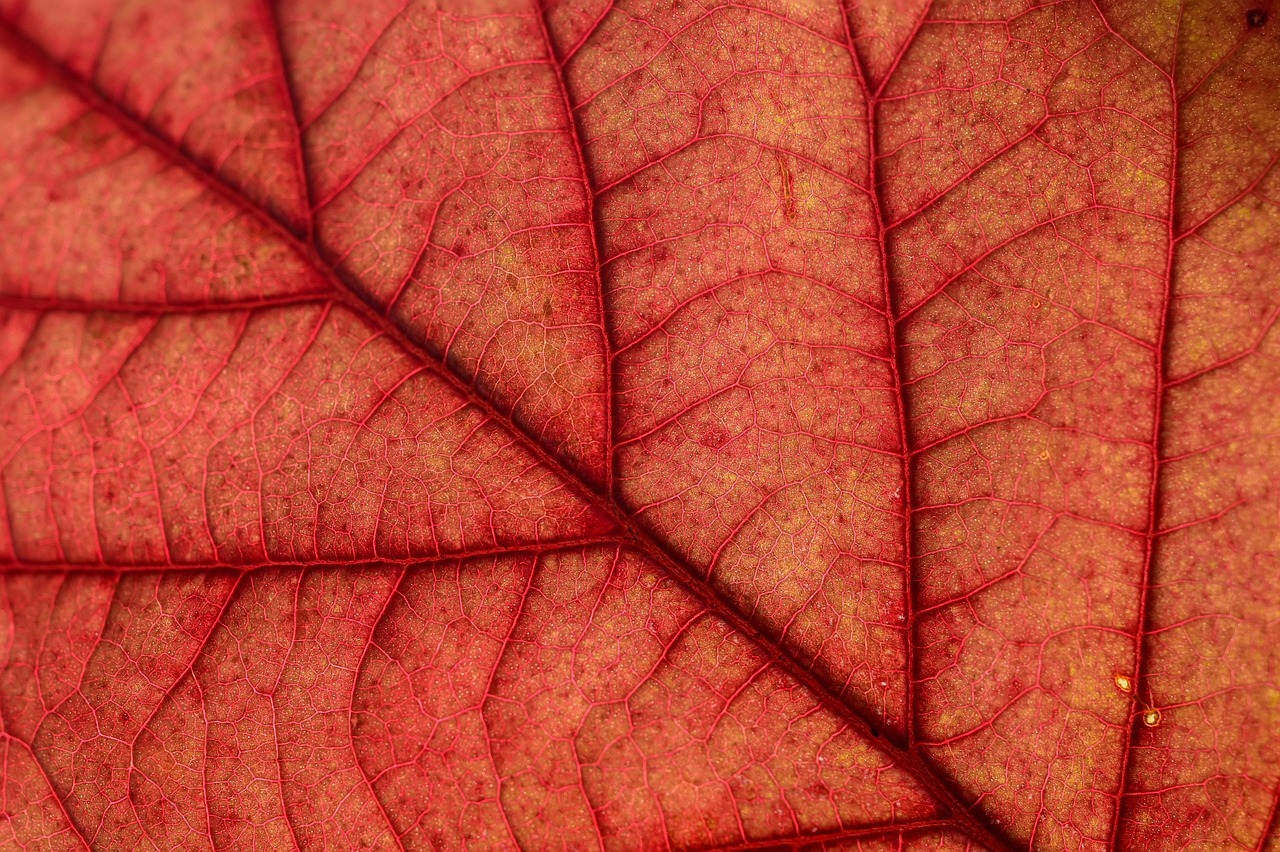 Investing in laptops with robust warranty and support services can