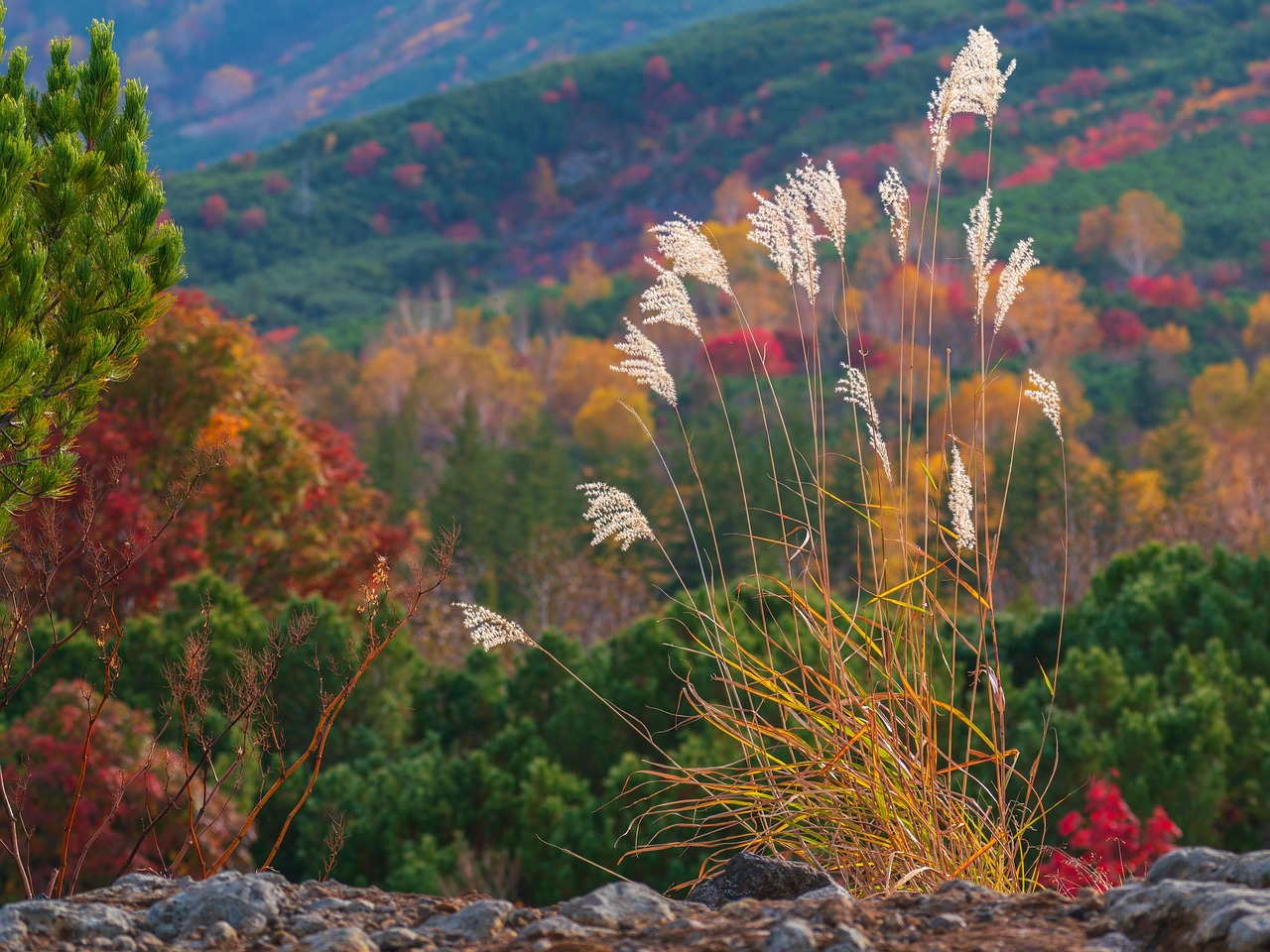 Convertible or 2-in-1 laptops that can function as both traditional