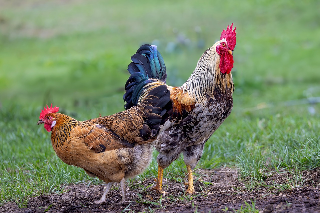 Joo Computers Ltds Guide To Selecting The Perfect Laptop For Your Sme Boosting Productivity And Efficiency