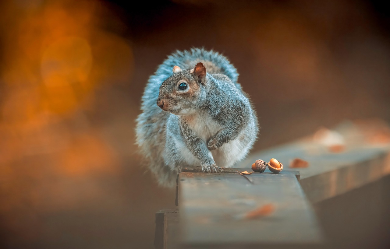 Performance: The Power of Desktops