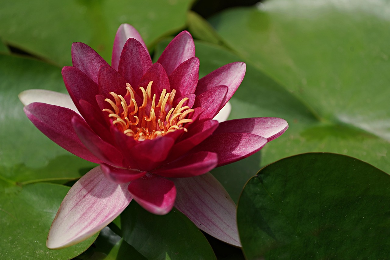 For business needs, the choice depends on the nature of