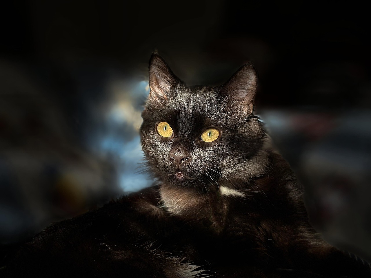 Unveiling The Power Of Ex Uk Laptops A Deep Dive Into Their Performance And Reliability