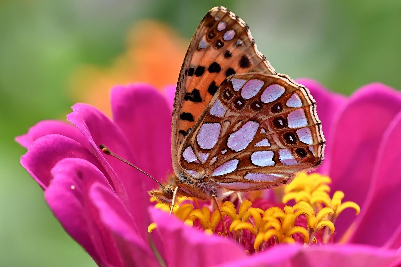 For more insights into laptop performance, you can explore detailed