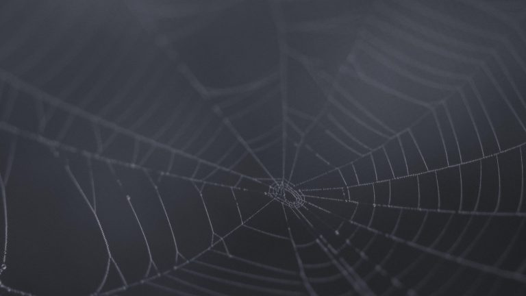 How To Choose The Right Laptop In Nairobi